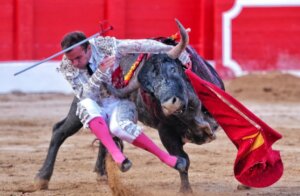 Foto: Arjona / Lances de Futuro
