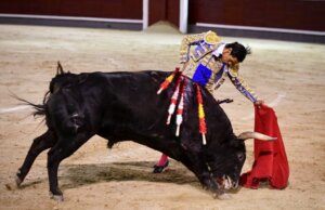 El peruano Pedro Luis, con el sexto novillo en Madrid. Foto: Plaza 1