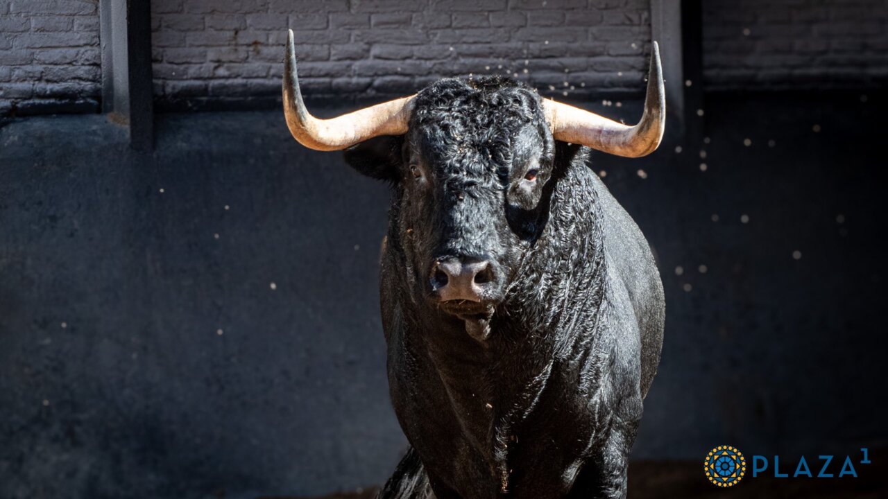 Raúl Rivera confirma en Las Ventas con Sortijillo de Juan Luis Fraile