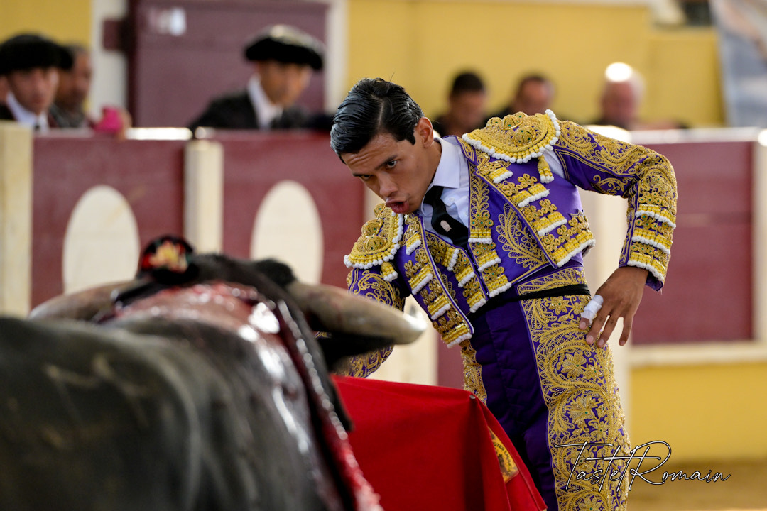 Cara y cruz en El Álamo: triunfo de Pedro Luis y gravísimo percance de Bruno Aloi