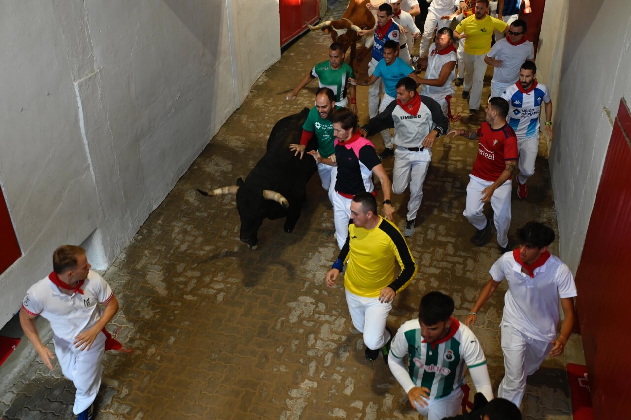 La Palmosilla deja varios corneados en un encierro veloz