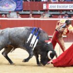 Damián Castaño, el pasado sábado en Mont de Marsan. Foto: Isabelle Dupin