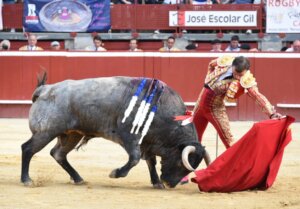Damián Castaño, el pasado sábado en Mont de Marsan. Foto: Isabelle Dupin