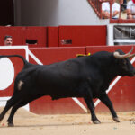 Foto: Roland Costedoat