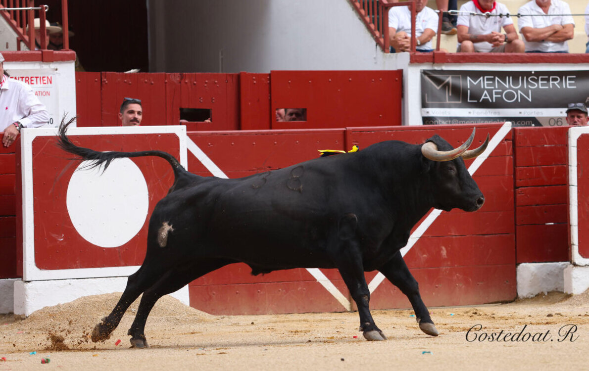 Orthez, otro bastión del torismo en Francia, con carteles
