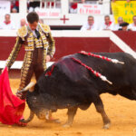 Foto: Roland Costedoat