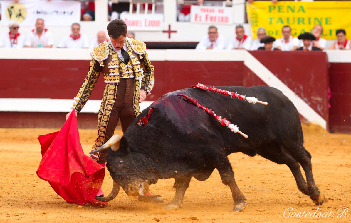 Daniel Luque, Aarón Palacio y El Freixo, principales premiados en el sudoeste francés