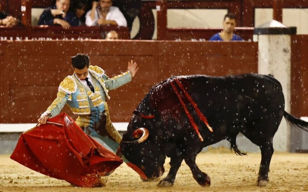 Esfuerzo ímprobo de Pedro Luis y un Barbanero de puerta grande en Madrid