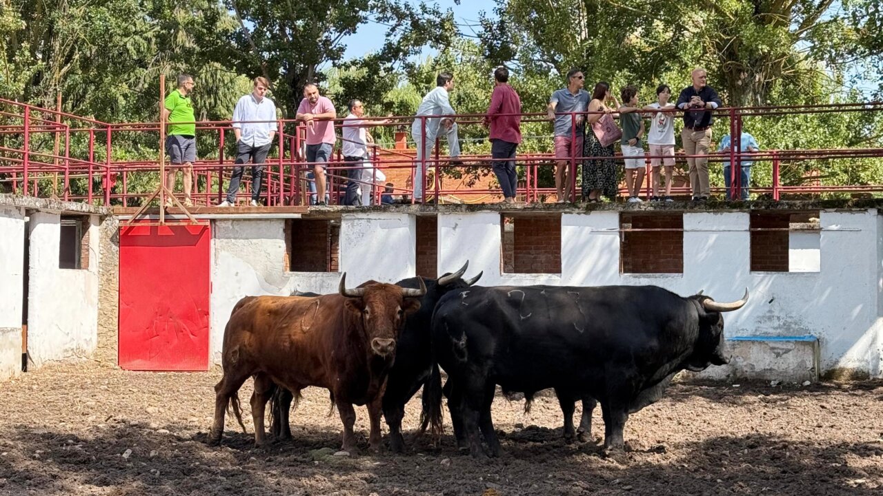 Seis de Núñez del Cuvillo para esta tarde en Burgos