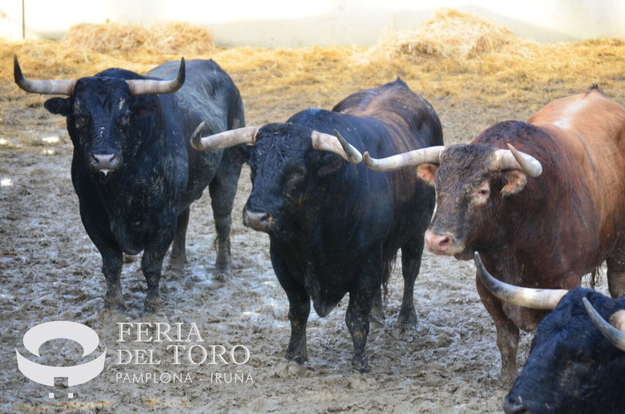 La Palmosilla, quinta ganadería en ocupar los Corrales del Gas