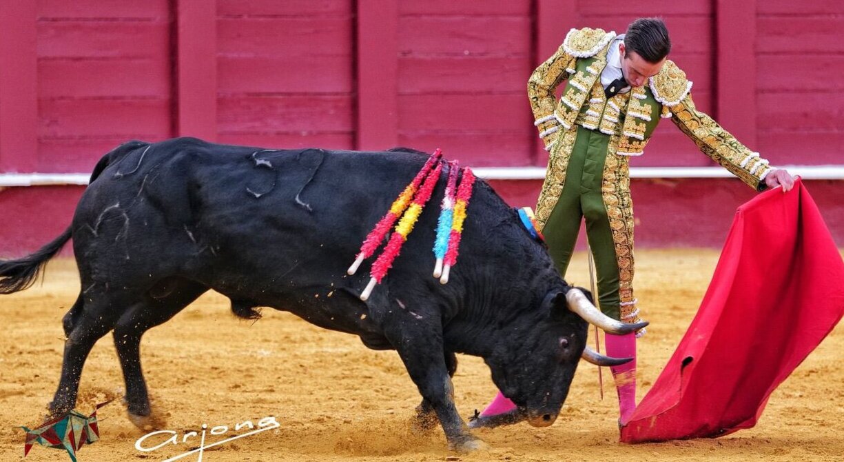 Triunfo de Molina en su presentación en La Malagueta