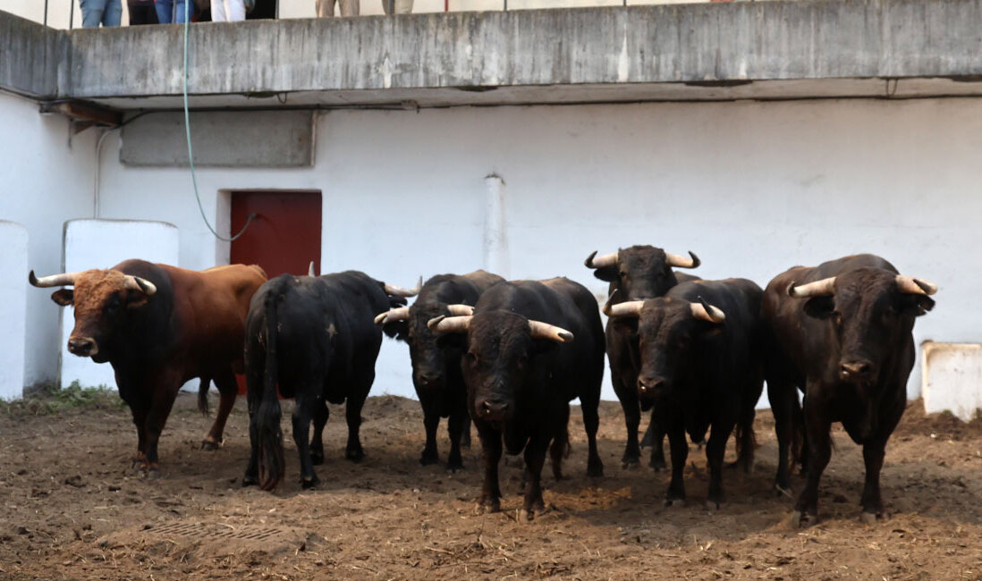 Enemigo, de La Cercada, inaugura la Feria de Begoña de Gijón