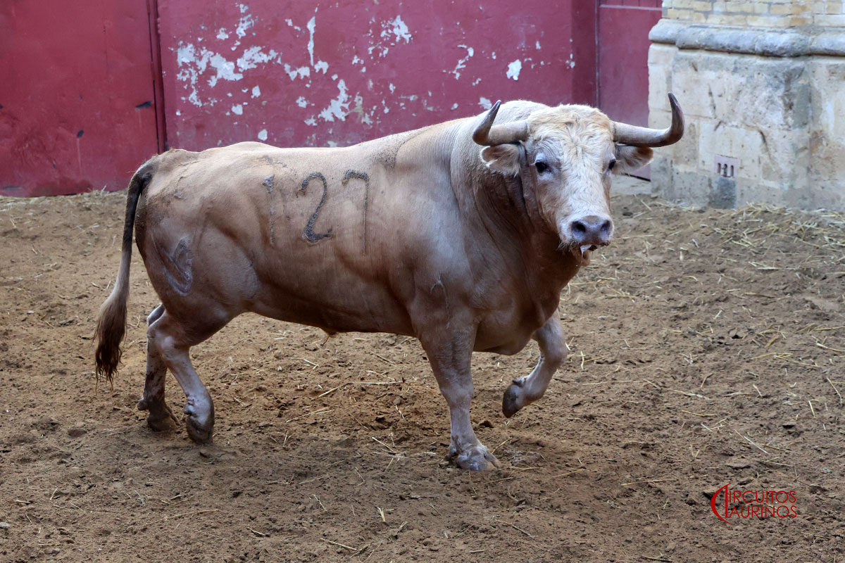 Corrida completa de Cuvillo en El Puerto para el gran acontecimiento taurino del verano