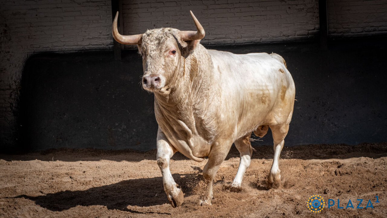 Seis jaboneros de Aurelio Hernando para esta noche en Las Ventas