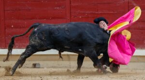 Foto: Jon Urriza - Noticias de Navarra.