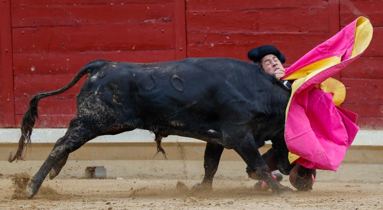 El novillero Alejandro Chavarri sufre una espeluznante cogida en Tafalla