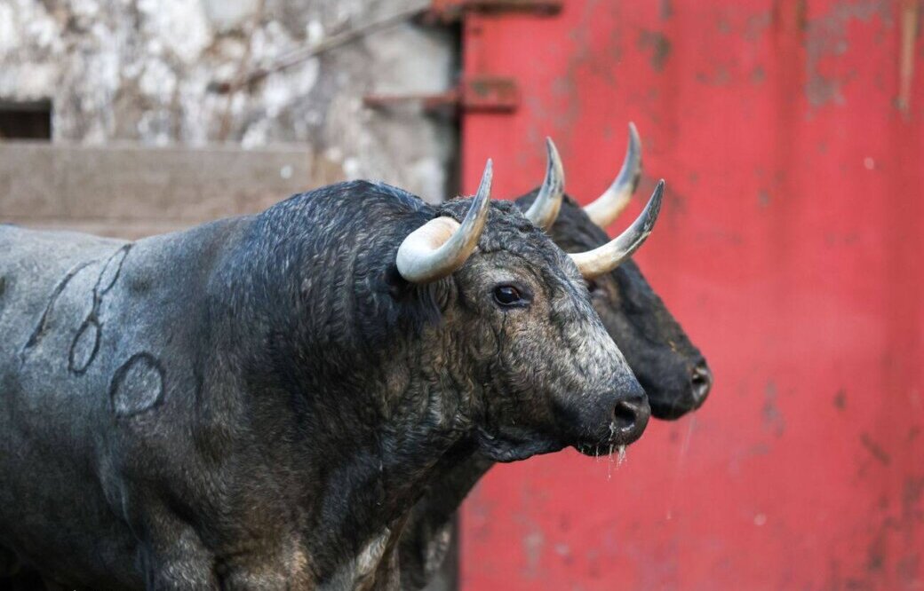 Victorino Martín debutará en la plaza de toros de Lima