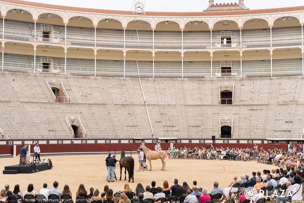Iván Magro y Luis Rouxinol Jr., multitudinario encuentro con la afición de Madrid