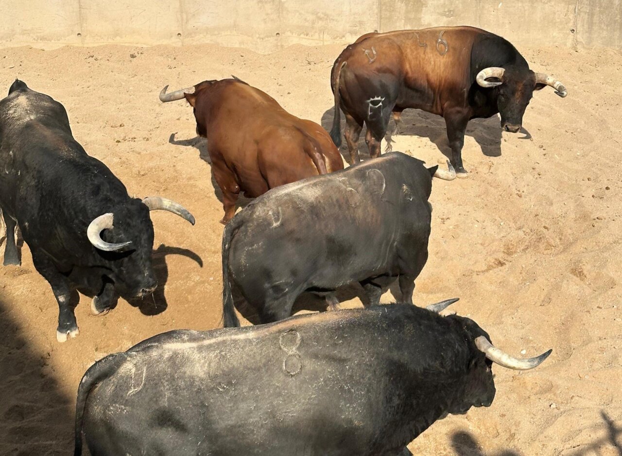 Sorteados los de Martín Lorca para la última de Ciudad Real