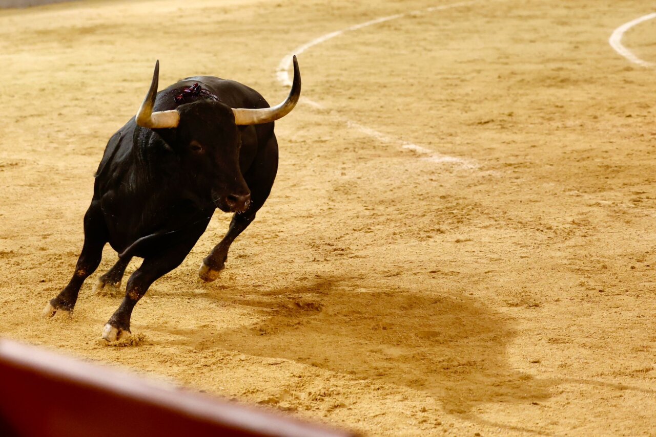 La bravura como bandera