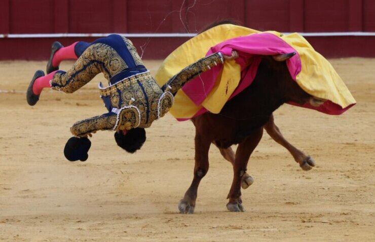 Daniel Artazos recibe el alta hospitalaria tras su grave percance en La Malagueta