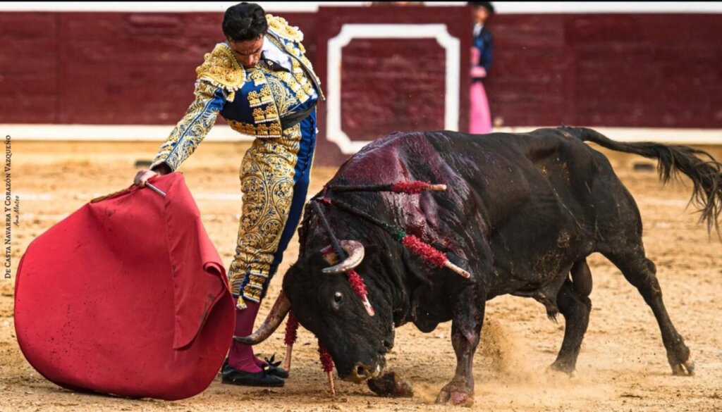 Así de bien toreó el valenciano en Tafalla.