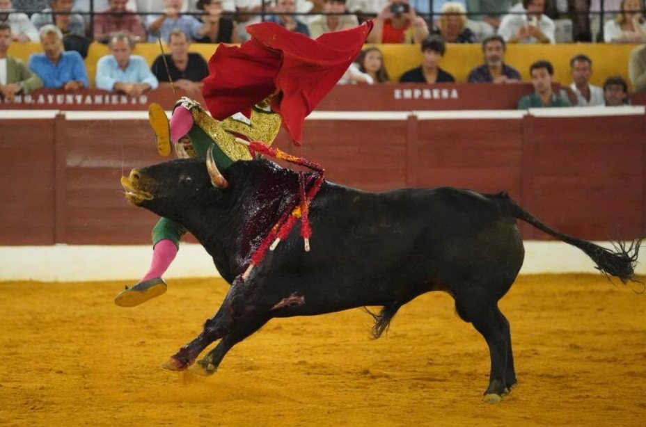 Morante, "herida incisa en parietal derecho y contusión en glúteo mediano de la cadera derecha"