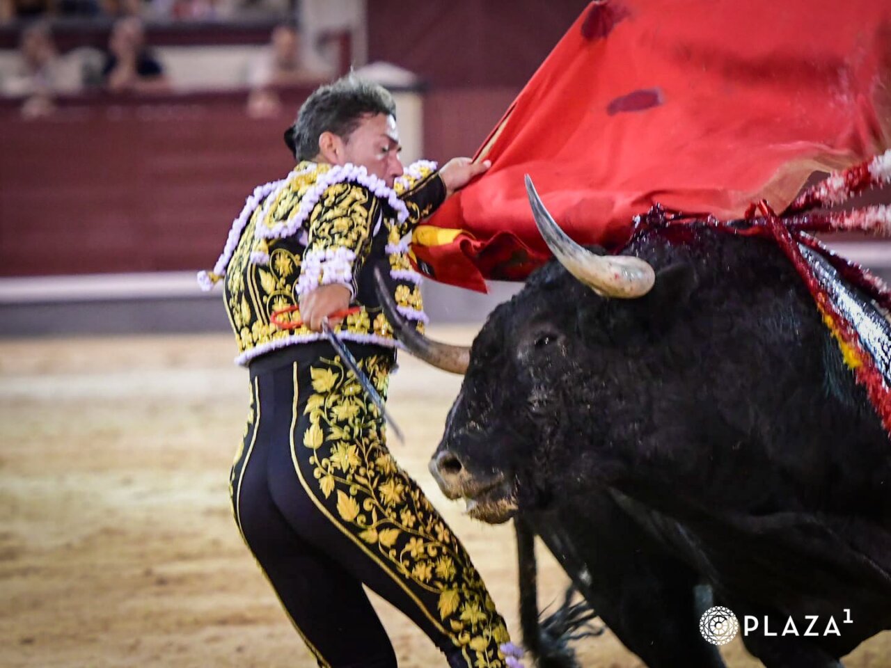 Para tragar y tragar