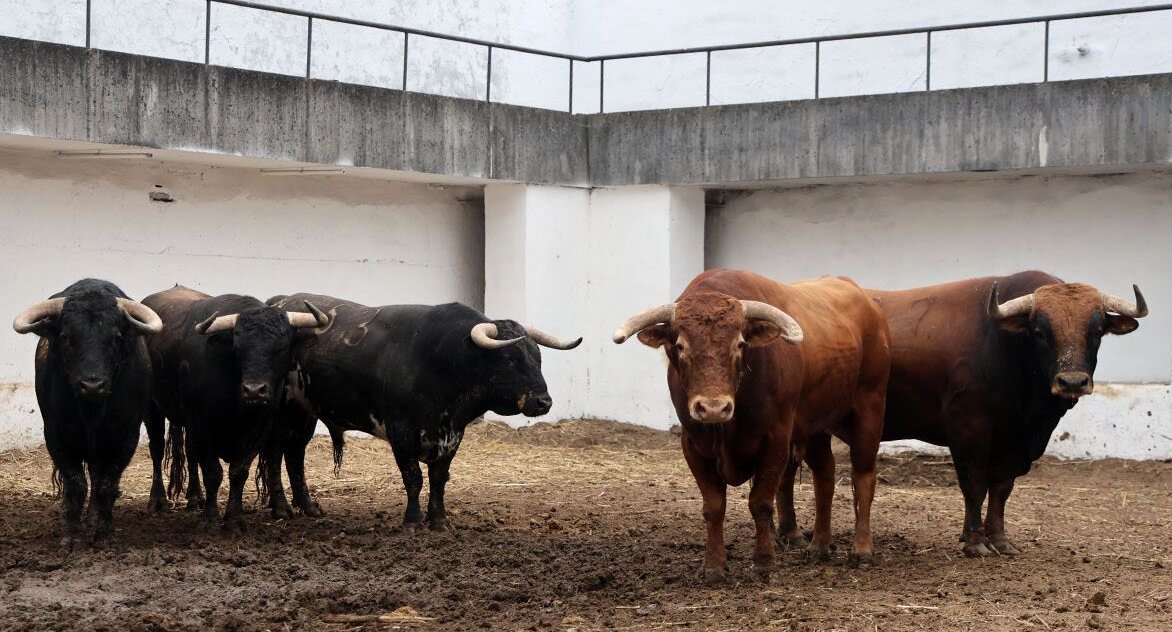 Cuatro de La Ventana del Puerto y dos de Puerto de San Lorenzo en Gijón