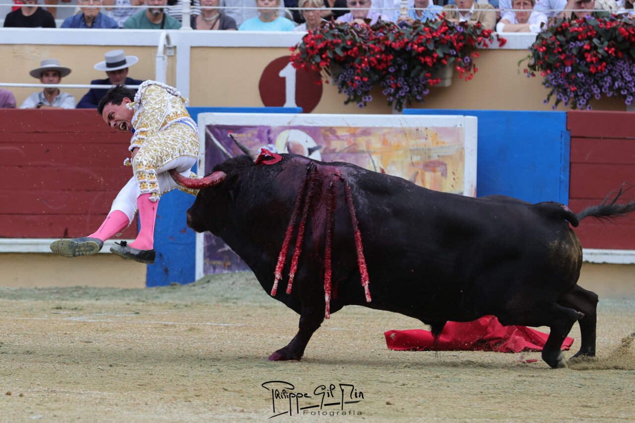 Juan de Castilla, intervenido con éxito: "Le podía haber reventado, el pitón quedó a milímetros del ano, la femoral y el nervio ciático, ha sido un milagro"