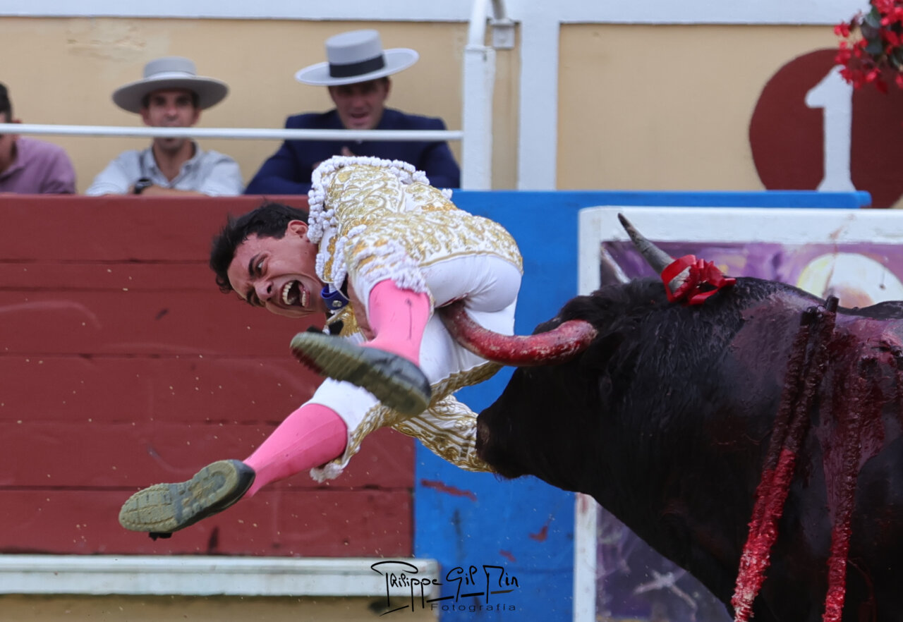 Jesús Salas: "Juan de Castilla está deseando volver, quiere estar en Dax y Madrid"