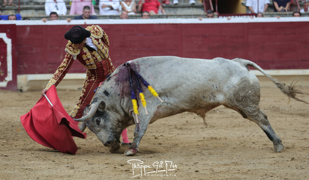 Javier Castaño y un Sobral de vuelta en Tafalla