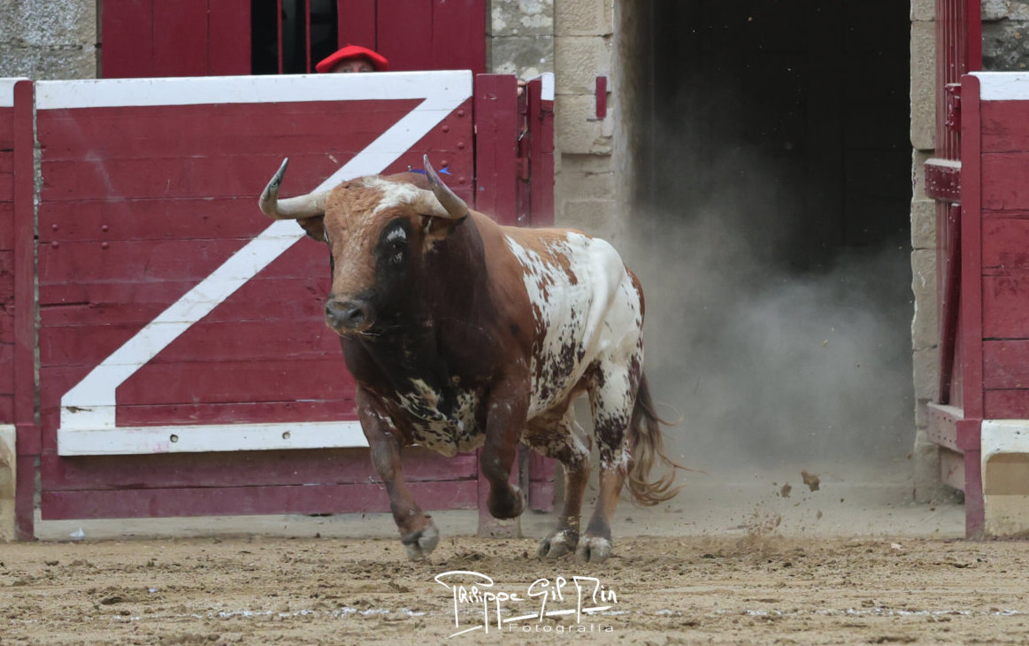 Foto: Phillippe Gil Mir