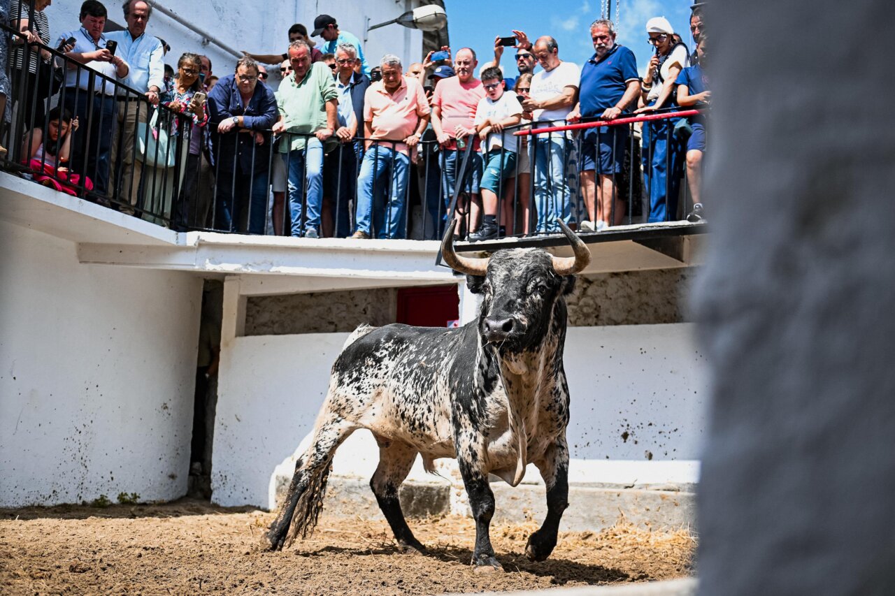 Seis de Murteira Grave en el debut de Rufo en Azpeitia