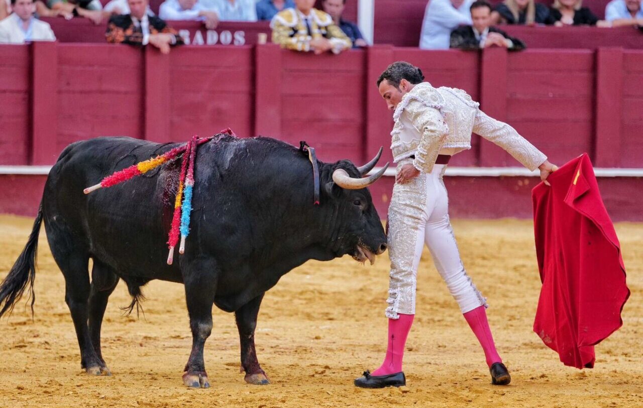 David de Miranda por Morante de la Puebla en Almería