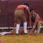 Manuel Trindade, inconsciente en el ruedo de Campo Pequeno I TOURO E OURO