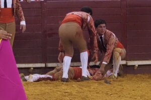 Manuel Trindade, inconsciente en el ruedo de Campo Pequeno I TOURO E OURO