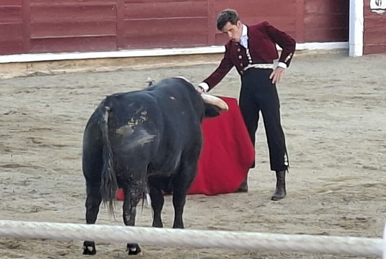 Guillermo Hermoso, seis orejas y un rabo en su solo en Estella... ¡hasta toreando a pie!