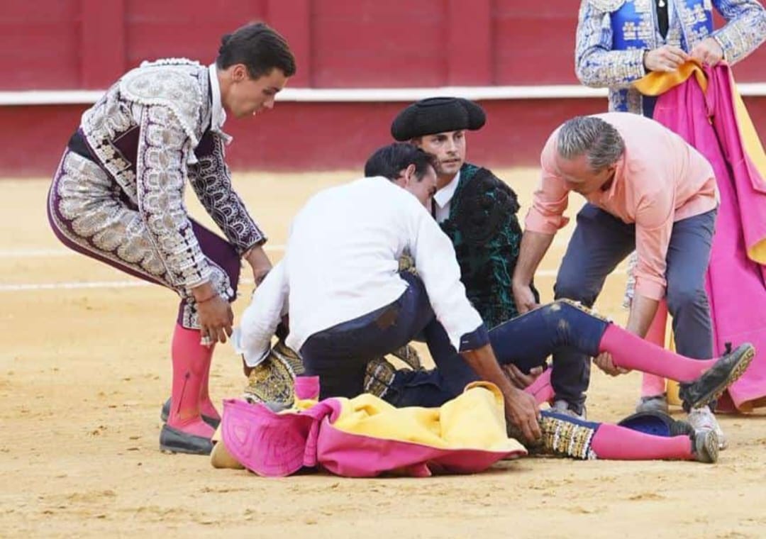 El novillero Daniel Artazos, cogido de gravedad en Málaga