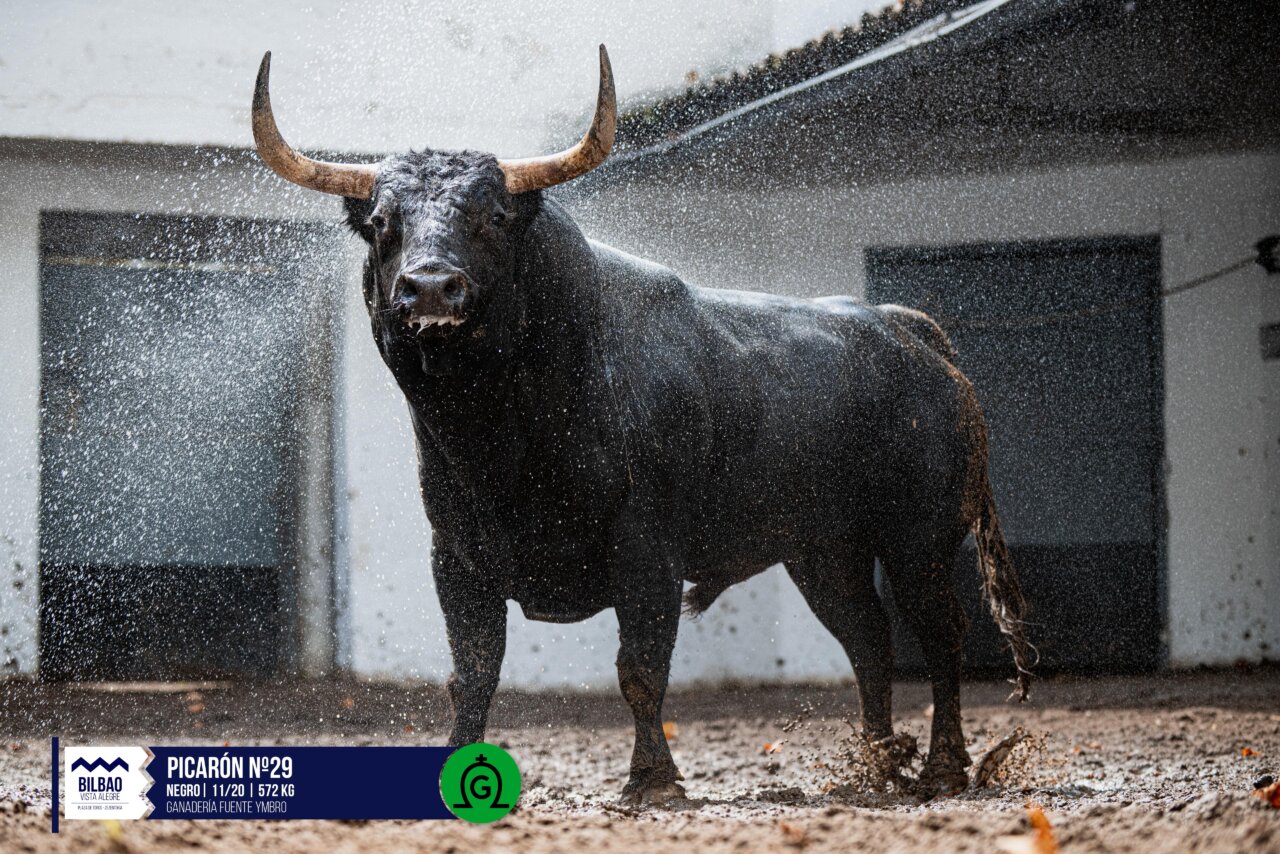 Leña de Fuente Ymbro para el cierre de las Corridas Generales