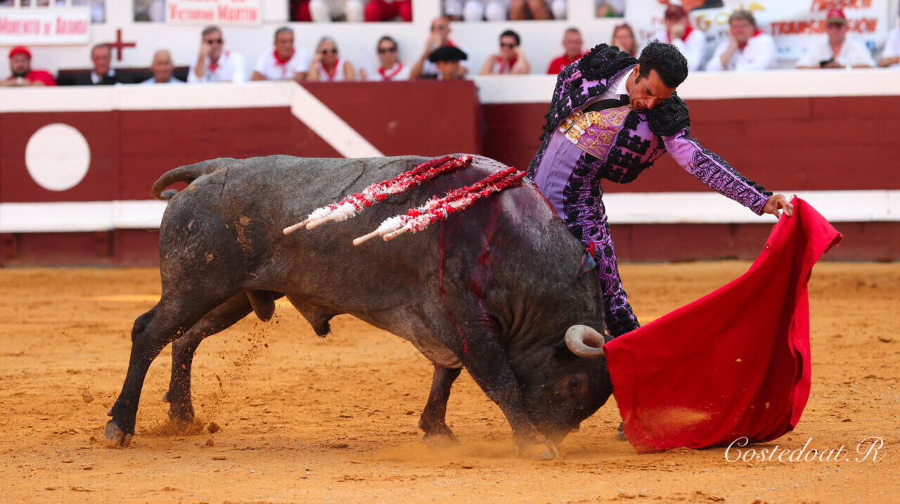 Tarde seria y de gran madurez de Morenito de Aranda ante los victorinos en Dax