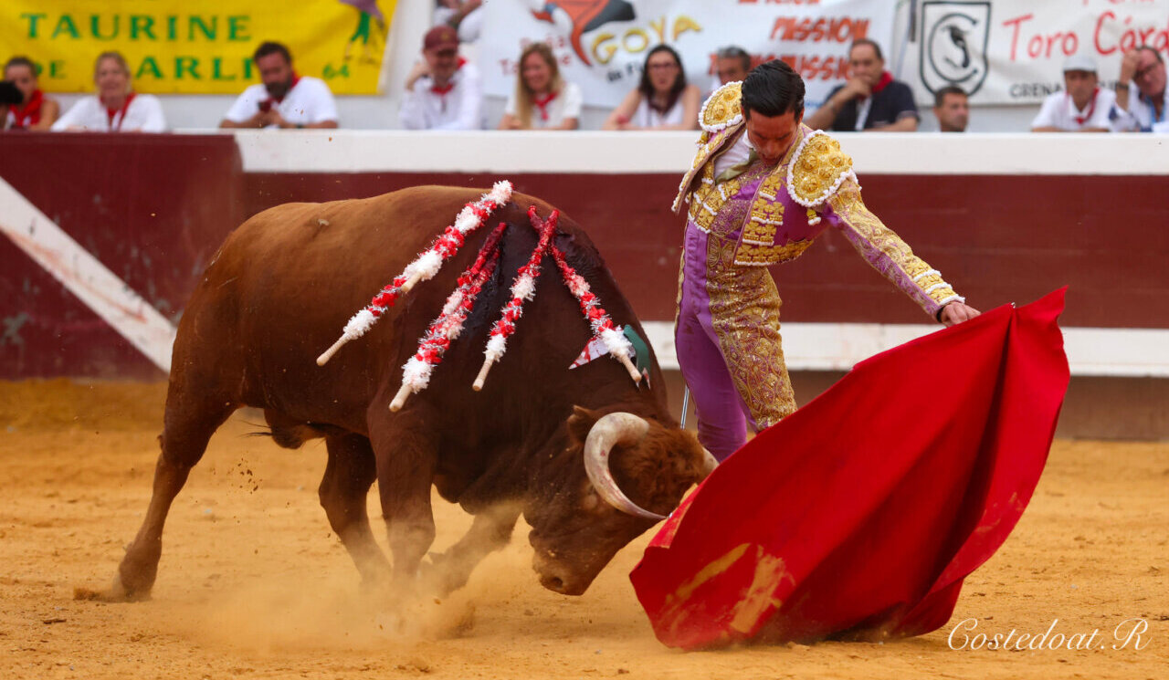 Sentimiento al natural de David Galván en la clausura de Dax