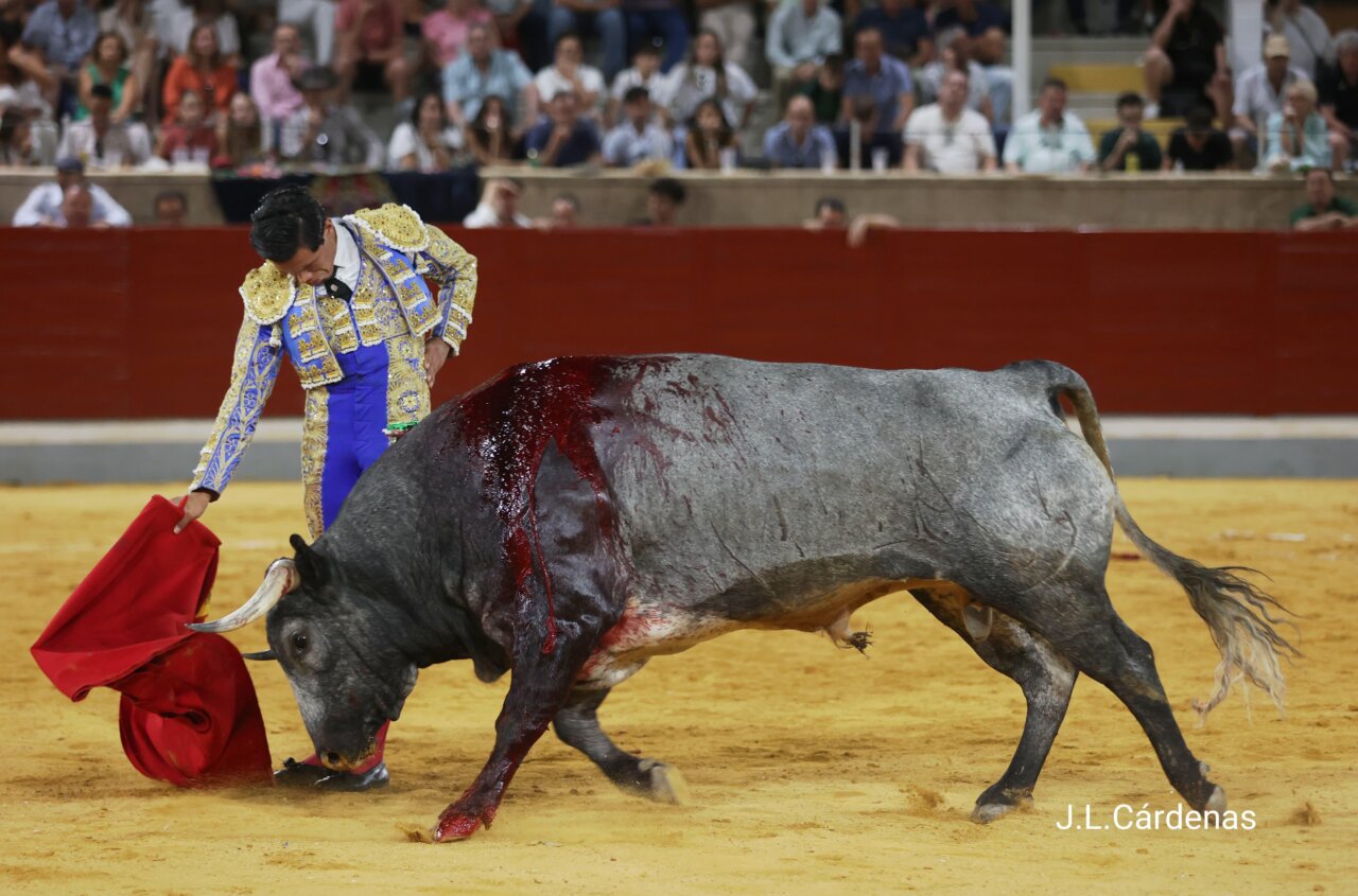 Pedro Luis y un herido David Campos, vueltas al ruedo en deslucida novillada del aniversario