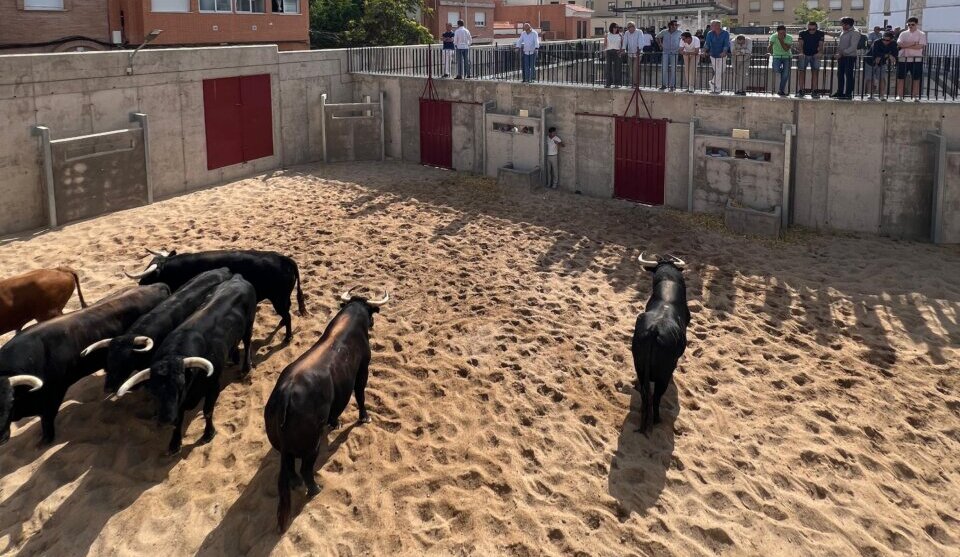 Seis de Victoriano del Río para el cartelazo de Ciudad Real