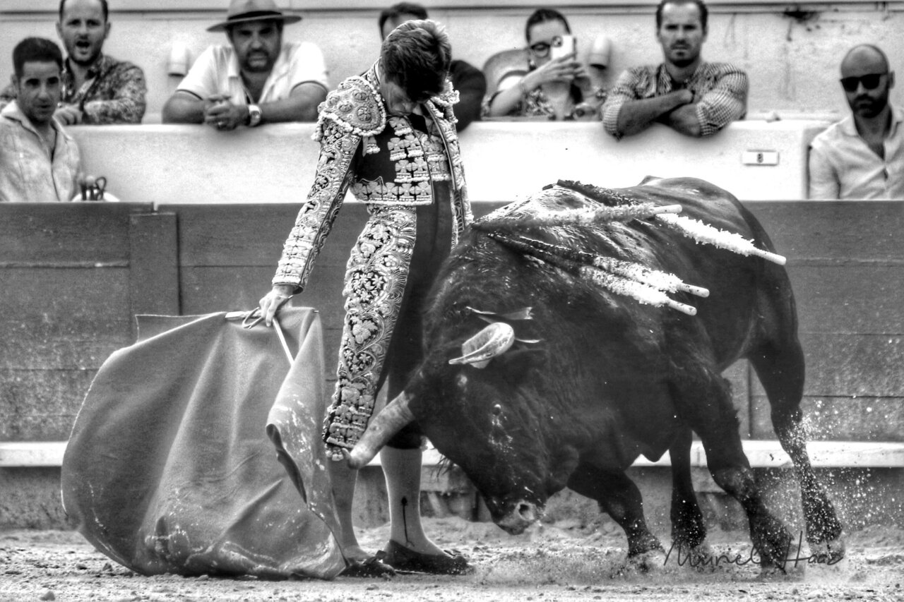Francia, testigo del momento de plenitud de Borja Jiménez