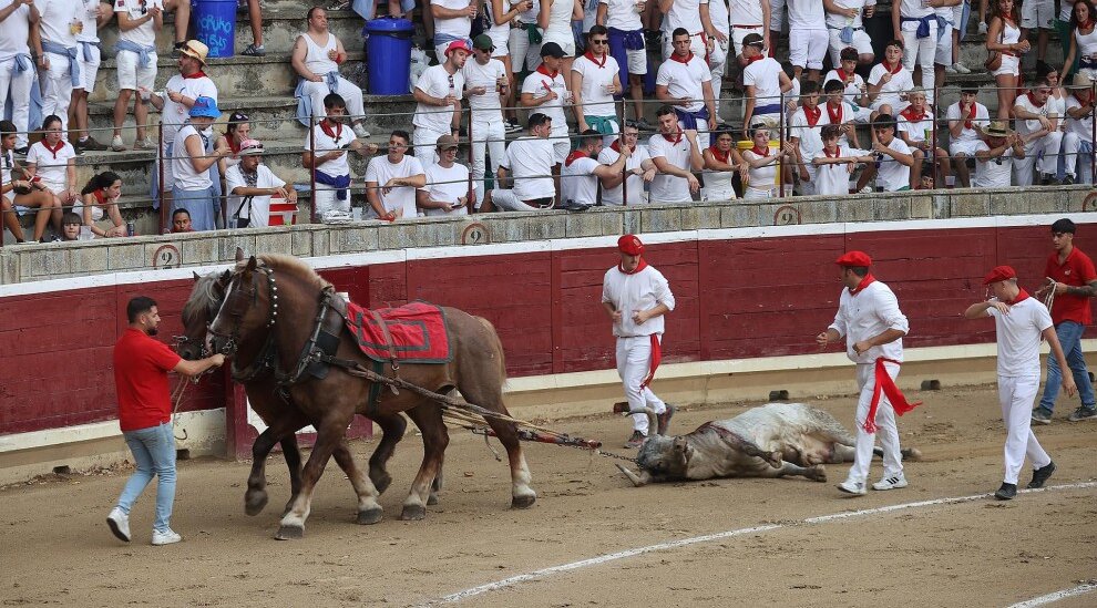 Traquino, de Sobral, premiado en Tafalla; desierto el premio al triunfador