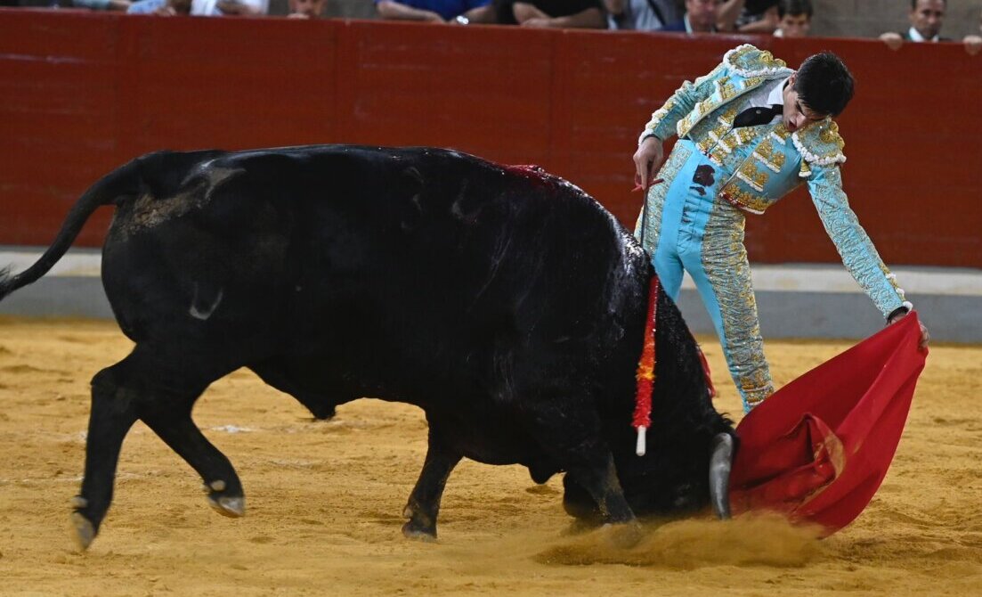 Jesús de la Calzada se reivindica con la de Cuadri tras la grave cogida de Joao d'Alva