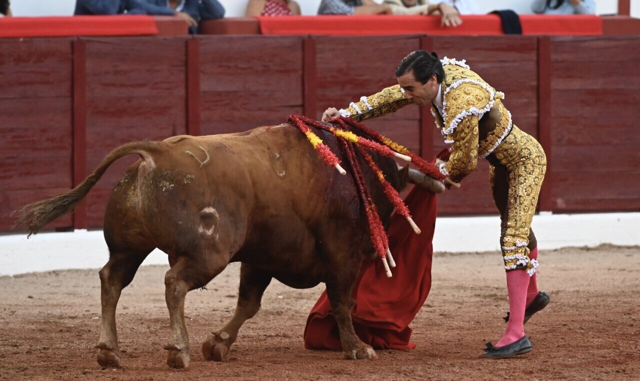 Juan Ortega, trofeo Yiyo al triunfador de la feria de Colmenar Viejo