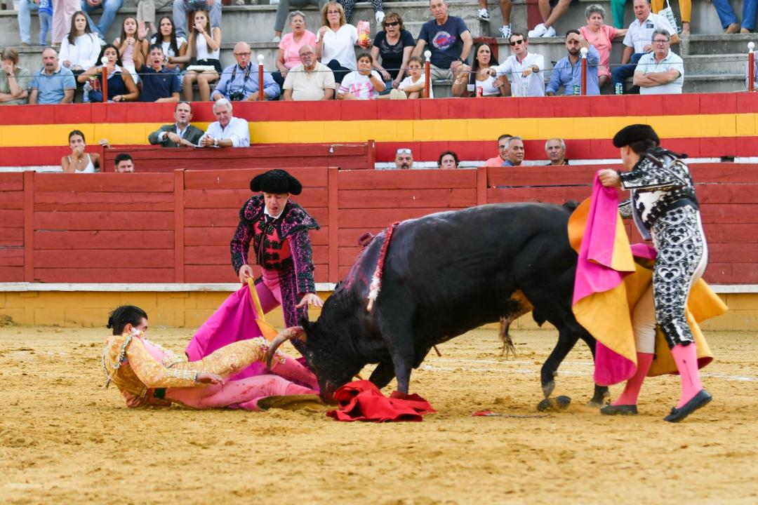 Muy grave Bruno Aloi: cornadón que contunde tibia y arranca vena safena, y otro de dos trayectorias de 20 y 30 cm que contunde fémur