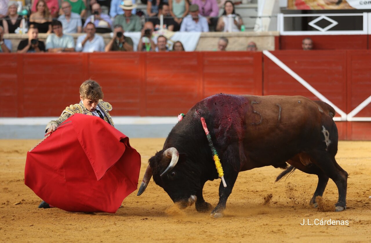 Álvaro Serrano cotiza al alza con un Sartanero de Baltasar Ibán de vuelta al ruedo